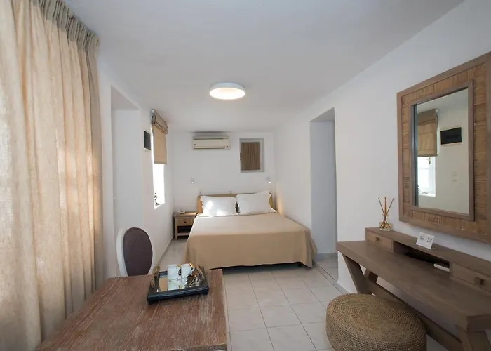 Island Mykonos מלון דירות Mykonos Town